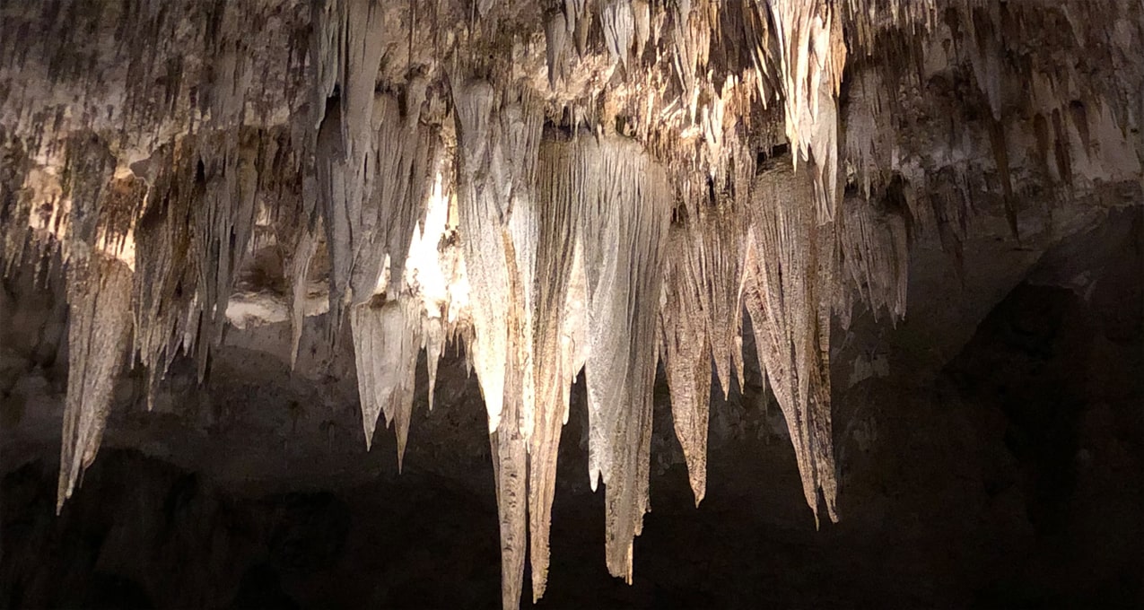 Carlsbad Caverns National Park, Big Room